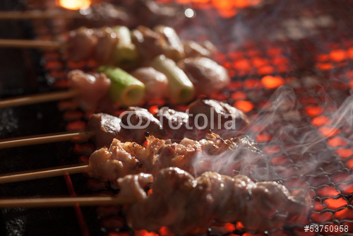 稲田の焼き鳥